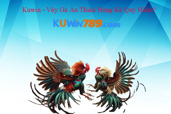 Kuwin - Vảy Gà Án Thiên Hùng Kê Quý Hiếm?