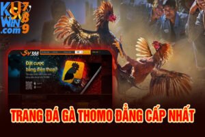 KUWIN789 - Đá Gà Thomo247 Điểm Nhấn Lôi Cuốn?