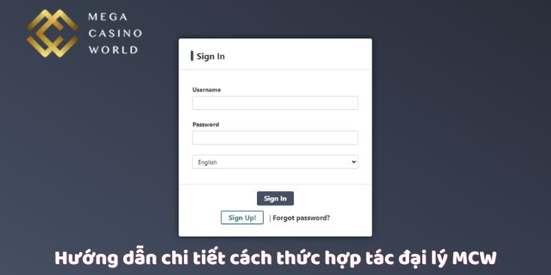 Hướng dẫn chi tiết cách thức hợp tác đại lý MCW