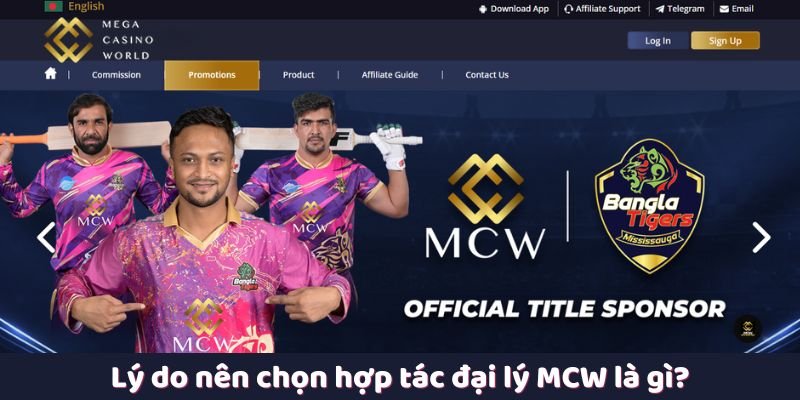 Lý do nên chọn hợp tác đại lý MCW là gì?